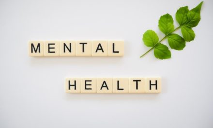 What benefits do non-profit mental health organizations in Miami offer?